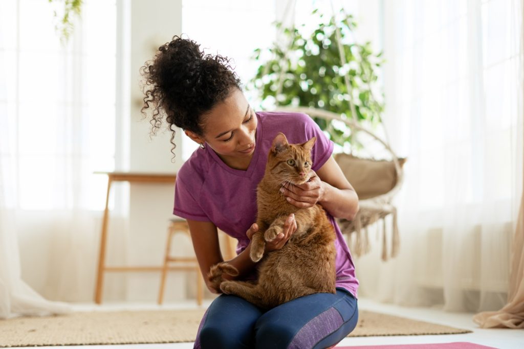 Filosofía de Catsitters®