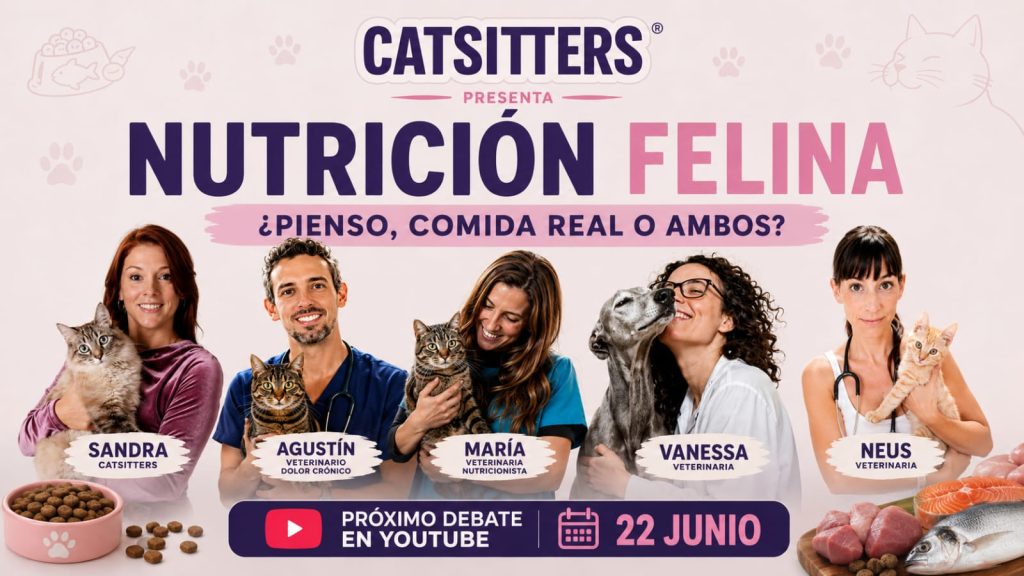 Nutrición felina
