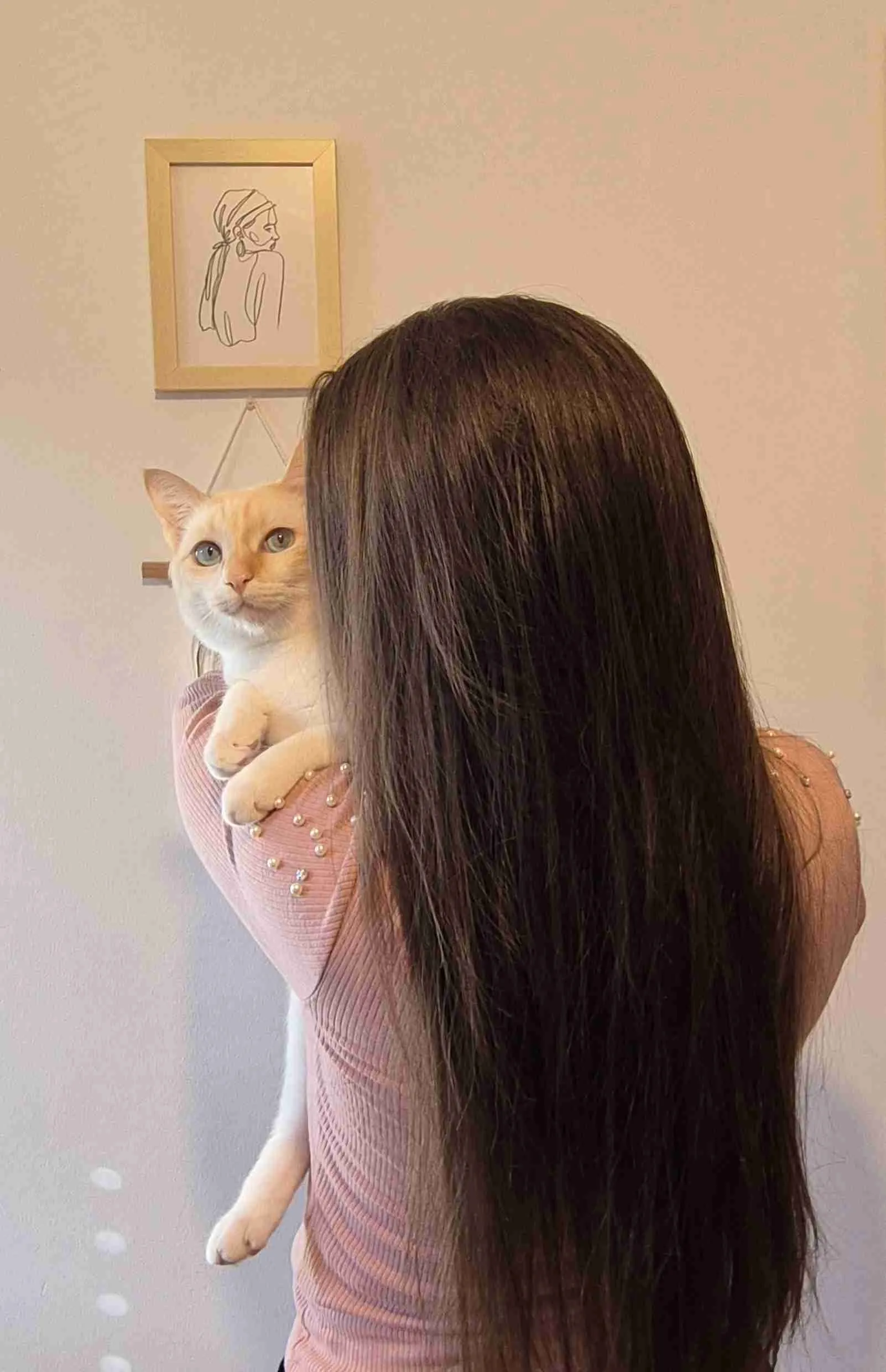 inbound1063700874856157161